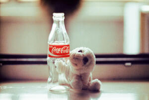 Buddy loves Coke Photograph by Laura Morkvenaite