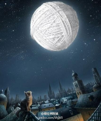 请您赐我一坨毛线球吧~！