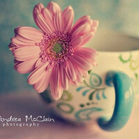 氤氲夏日里的静安年华