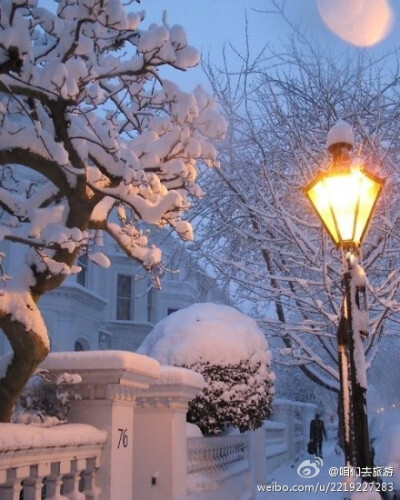 伦敦 夜雪景