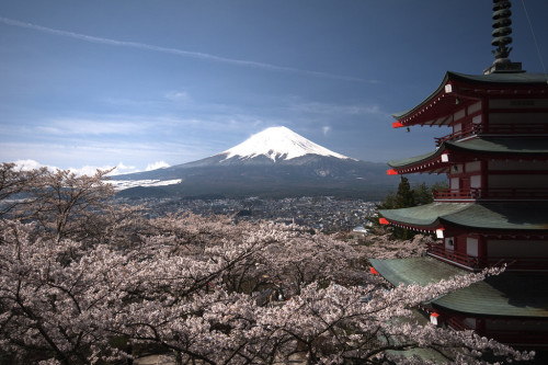 富士山