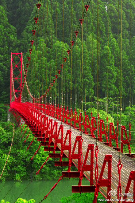 日本的红桥，以绿色为背景，红色是如此的耀眼，走在这一定会忘掉很多烦恼~