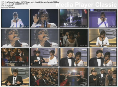 Whitney Houston——Grammy Awards。