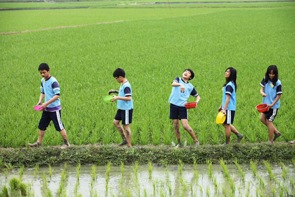 有机小学