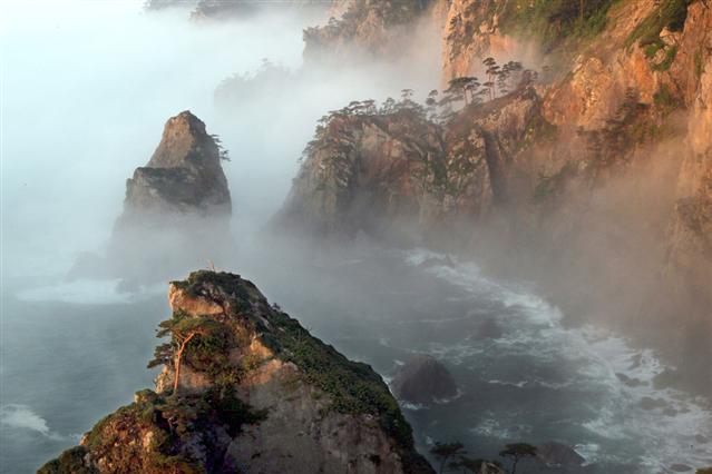  切り立った岩が高山を連想させ「海のアルプス」とも呼ばれる岩手県田野畑村の「北山崎」。陸中海岸国立公園北部にある三陸海岸の代表的な景勝地は、高さ200メートルの断崖絶壁と奇岩群が荒々しくも美しい隆起海岸だ。