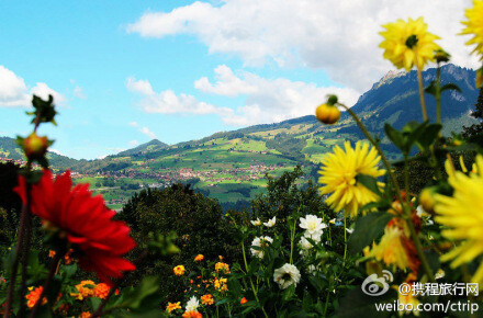 【瑞士最美的小镇】从因特拉肯（Interlaken）坐船沿图恩湖一路欣赏着美景，很快就到了施皮兹（Spiez）小镇，这里与因特拉肯隔湖相望，矗立在湖畔的古堡更让本来就胜似人间天堂的施皮兹俨然成为童话中的王国，据说这也是瑞士最美的小镇。