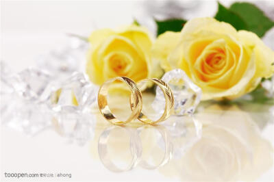 黄色玫瑰和戒指，适合情人节吗？