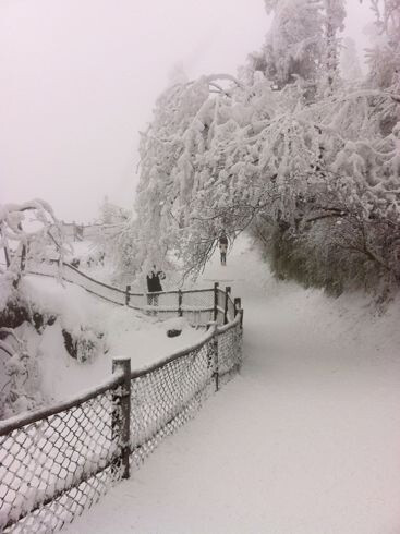 雪景