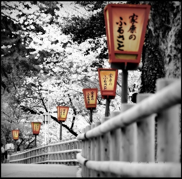 喜欢这种路灯。