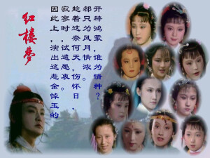   满纸荒唐言，一把辛酸泪。都云作者痴，谁解其中意。