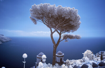 Postcard from Ravello