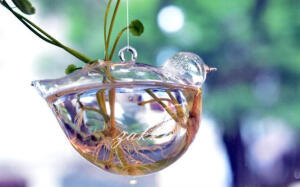 zakka玻璃水培容器 玻璃吊瓶 小鸟玻璃植物花瓶附麻绳 垂吊花瓶