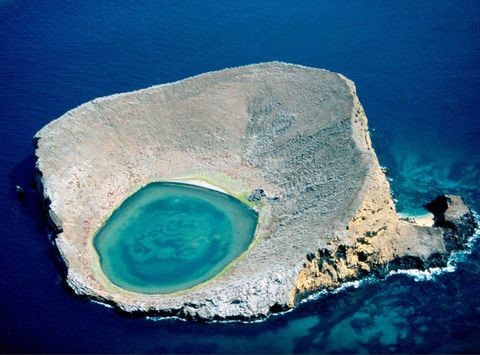 厄瓜多尔的加拉帕戈斯群岛 Galapagos Islands, Ecuador～