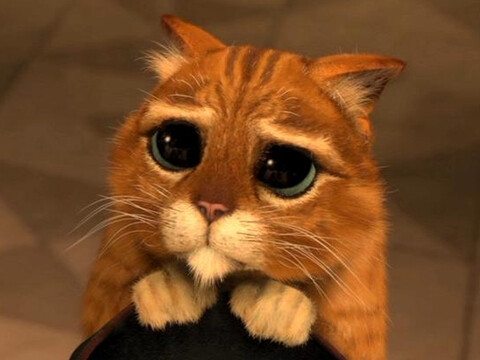 你肿么啦可怜兮兮的