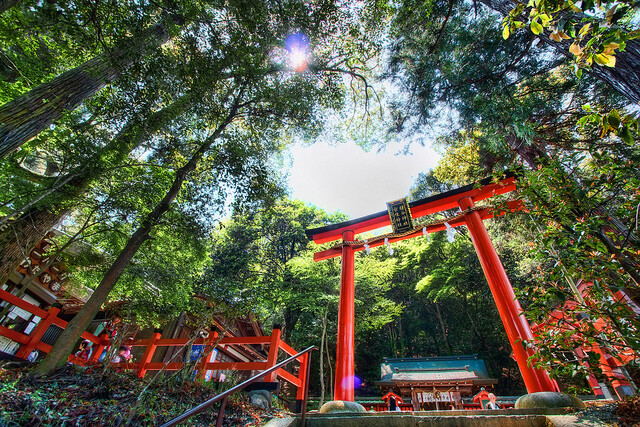 THE GATES TO THE MONKEY PARK