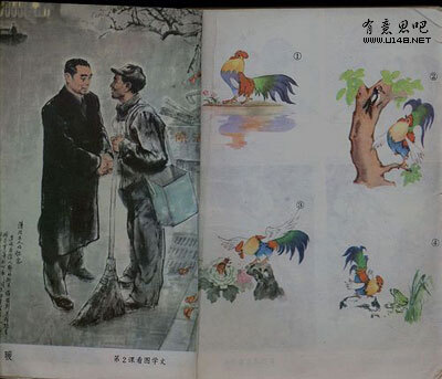 为数不多的几次 妈妈给我和弟弟念课外阅读上的故事 爆幸福555