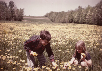 Sunshine and Daisy.