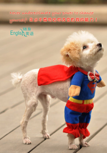 Super Dog！