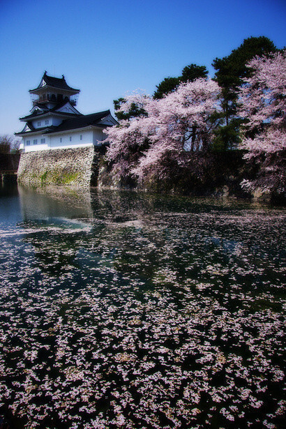 落花有意，流水無情