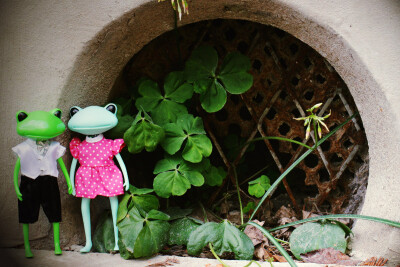 WonderFrog~。（Copyright © 周突圍）