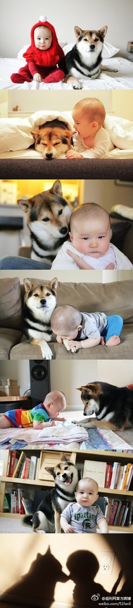 家庭照一组，狗狗眼神好温柔