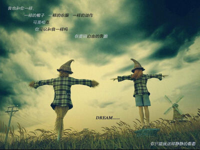 dream。