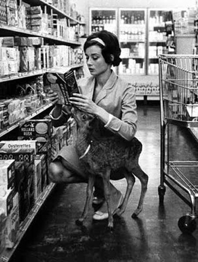 Audrey Hepburn and her pet fawn Pippin.