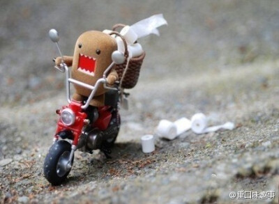 闪开！！！！！！送厕纸的来了！！！！！主人，你hold住呀！！！！