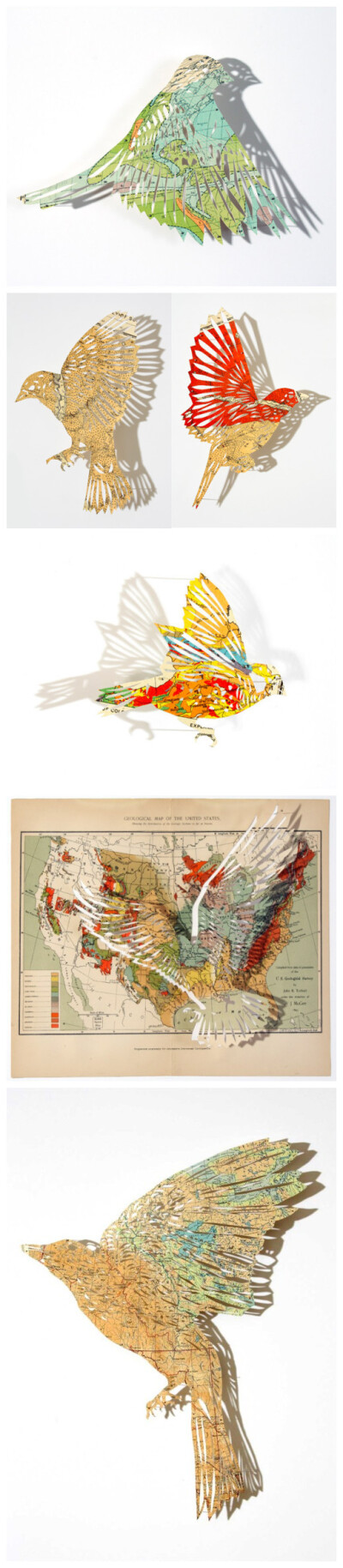 纸艺艺术家Claire Brewster 用旧地图雕刻的鸟。