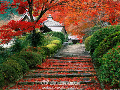 京都