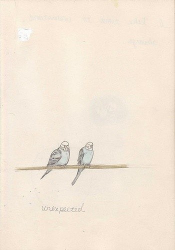 【ayco。我这个世界。安静得要死。】