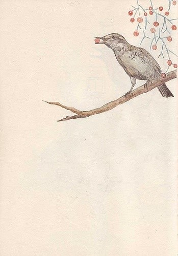 【ayco。我这个世界。安静得要死。】