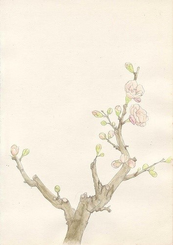 【ayco。我这个世界。安静得要死。】