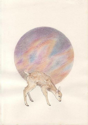 【ayco。我这个世界。安静得要死。】