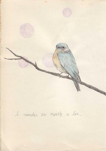 【ayco。我这个世界。安静得要死。】