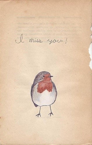 【ayco。我这个世界。安静得要死。】