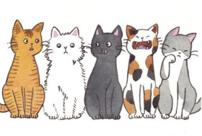 5只猫