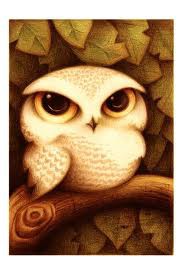 i love. owl