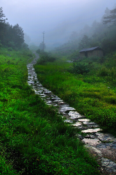 大雨过后，很潮湿