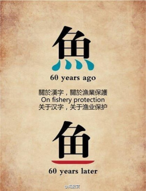 60年前，大多数鱼在水里；60年后，大多数鱼在盘里。关于繁体字，关于渔业保护。超级创意公益广告！(419x550)