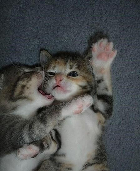 呜呜..救命啊 你的口水......