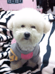 sooooooooooooo cutie！！！！！！！