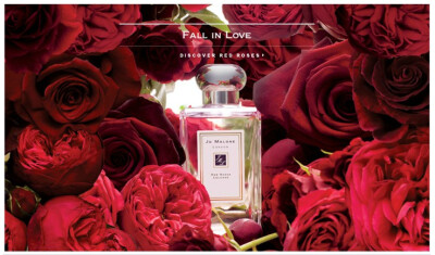 JO MALONE ♥ RED ROSE ♥ 大爱的味道，能让我一整天如漫步在玫瑰花园。虽然很多人说留香时间短，而对我来说恰到好处。细闻起来能感到玫瑰香材十分精良，一定用了优种玫瑰提取的香精。柔润中兼有执着，一点不生硬，…