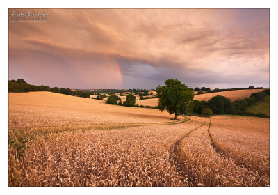 stormy shire