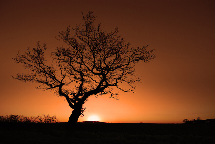  "Sunset at Ordsall"