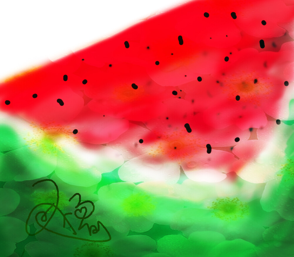 花瓣西瓜~的爱~