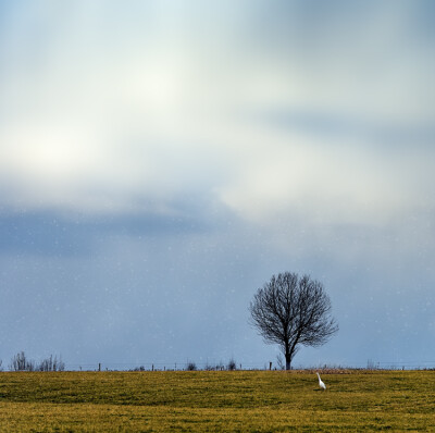  "a silent winterwalk"