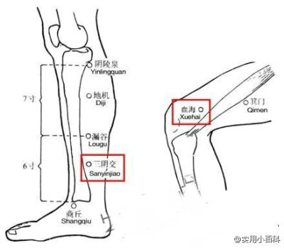 腿部穴位