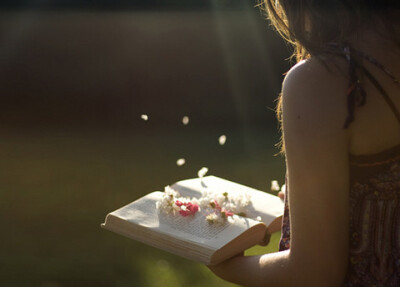 风中的花瓣是我的思念