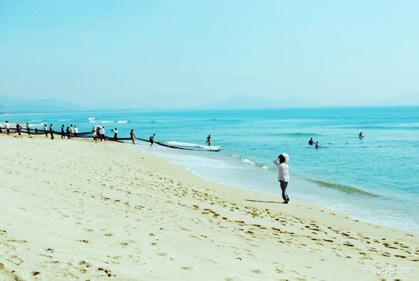 那年夏天，宁静的海